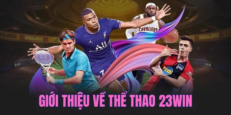 Khám phá thế giới thể thao và cá cược